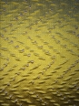 Draperie Kanya