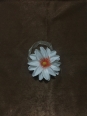 Draperie Soft Maro Deschis mic