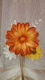 Floare Cu Magnet, Portocalie mic