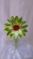 Floare Cu Magnet, Verde mic