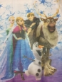 Perdea Copii Frozen mic