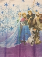 Perdea Copii Frozen mic