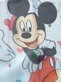 Perdea Minnie Mickey mic